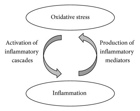 cla results in 1 week|CLA effects on inflammation and oxidative stress.